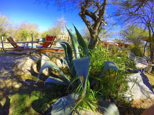 Lodge Caba�as De Monta�a Rio Amarillo