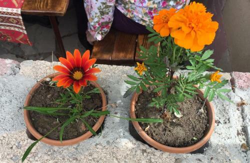 Three Jugs B&B