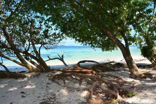 Hotel Villa Anse La Blague