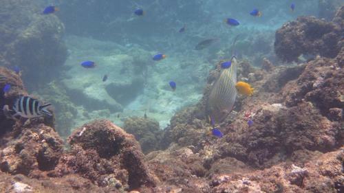 Hotel Villa Anse La Blague