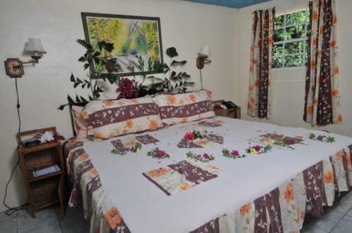 Hotel Hummingbird Beach Resort