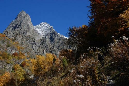 Hostal Iason Guest House In Mazeri