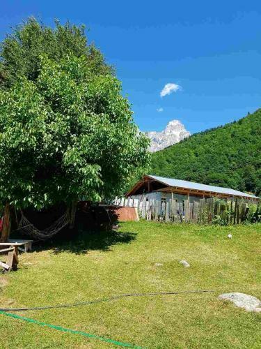 Hostal Iason Guest House In Mazeri