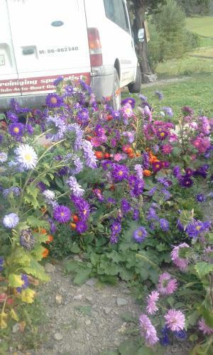 Hostal Iason Guest House In Mazeri
