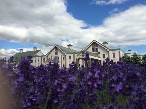 Hotel Furano La Terre