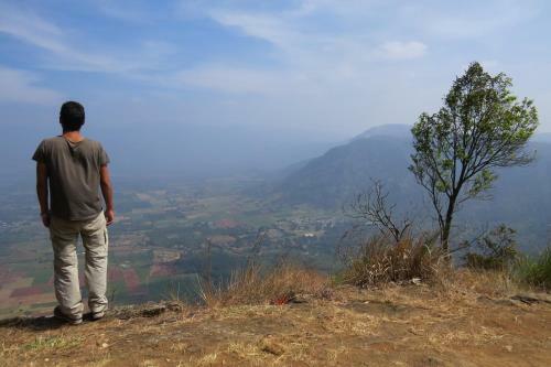 Jungleparadiso Homestay