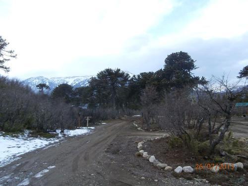 Lodge Caba�as Huerquen