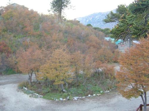 Lodge Caba�as Huerquen