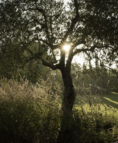 Agroturismo Tenuta Santo Pietro