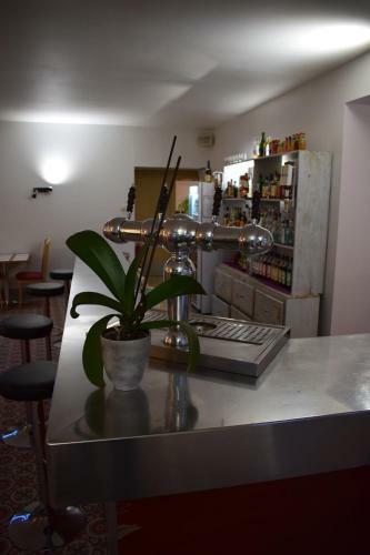 Hotel H�tel de France