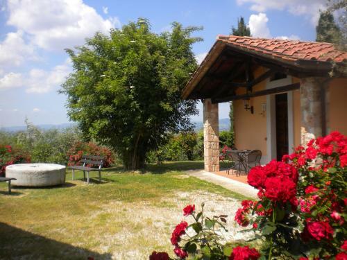 Agroturismo Il Poggio Degli Olivi