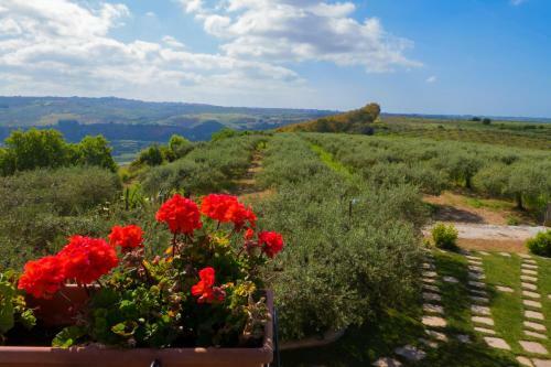 B&B Le Foglie D'argento