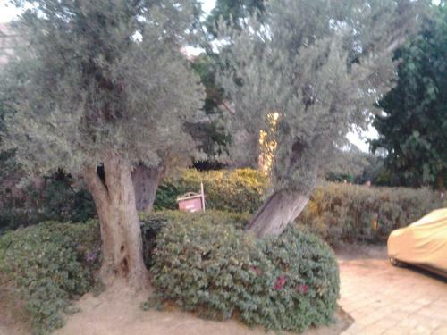 Apartamento Palmeraie Appartement