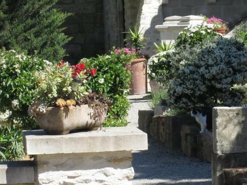 Bed & Breakfast Le Mas Vieux