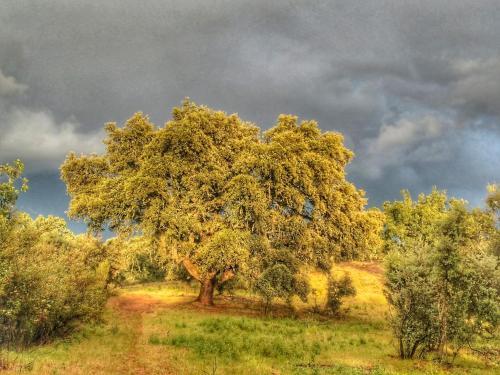 Agroturismo Finca La Ramallosa