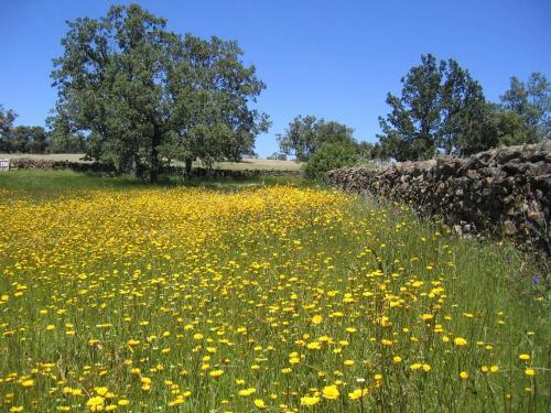 Agroturismo Finca La Ramallosa