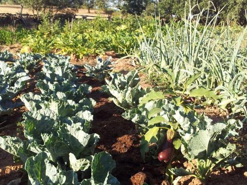 Agroturismo Finca La Ramallosa