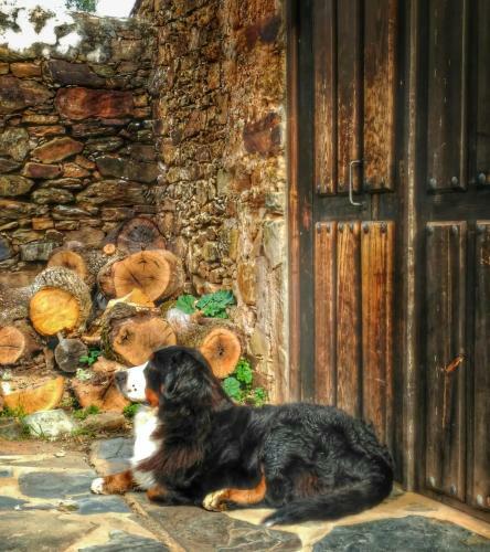 Agroturismo Finca La Ramallosa