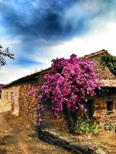 Agroturismo Finca La Ramallosa