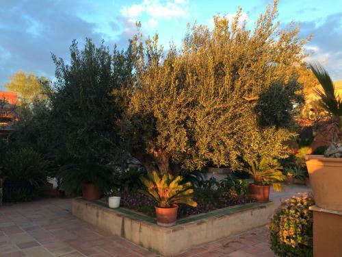 Bed & Breakfast Valencia Country House