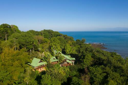 Hotel Aguila de Osa Rainforest Lodge