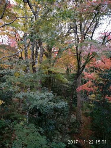 Hakone Miyagino House