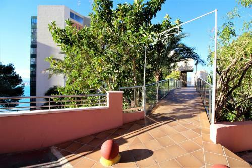 Apartamento Don Miguel 15-f