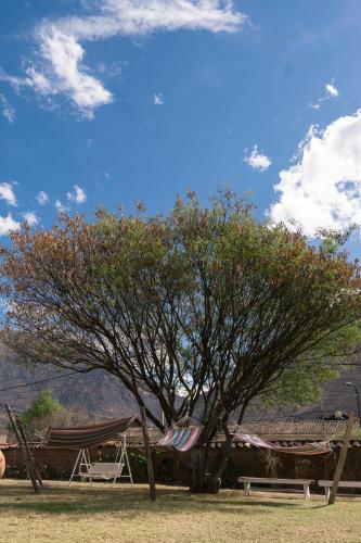 Hotel Qasana Plaza Calca