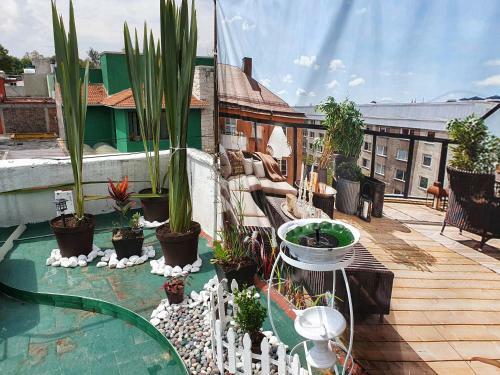 Hostal Estudio Espartaco