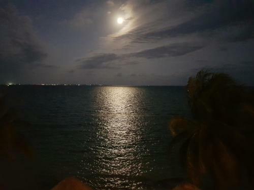 Apartamento Suite Frente Al Mar