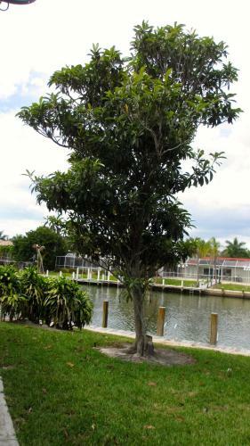 Villa Marco Island