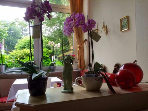 Hostal Kurvilla F�rstin Pauline