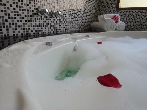 Hostal Chal�s Fazenda Vale Da Mata