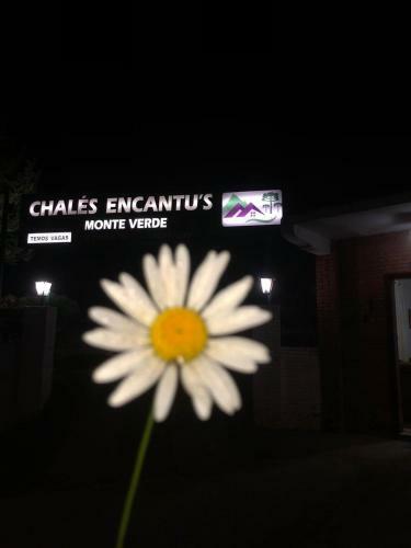 Lodge Chales Encantus