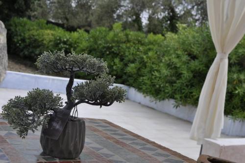 Hostal Country House Villa Di L'abbiu