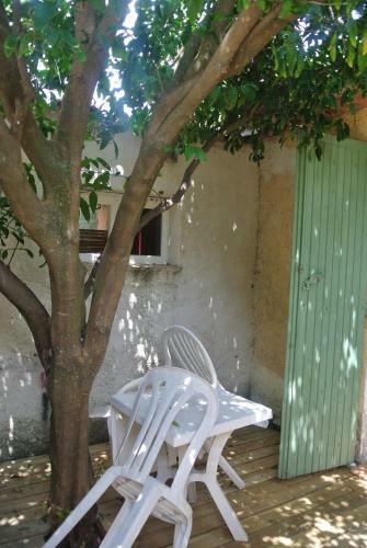 Hotel H�tel Les Mimosas