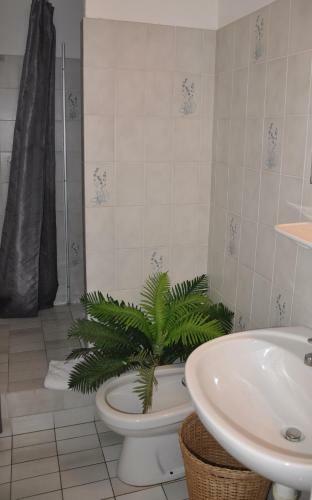 Hotel H�tel Les Mimosas