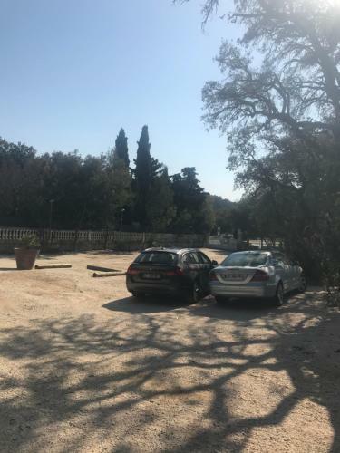 Hotel H�tel Les Mimosas