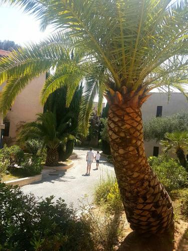 Apartamento R�sidence Go�lia Les Jardins D'azur