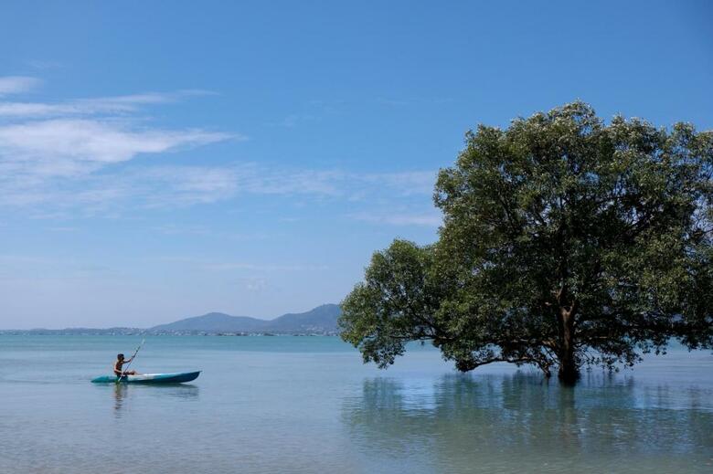 Hotel The Mangrove Panwa Phuket Resort