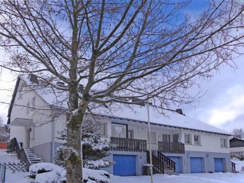 Modern Holiday Home In Winterberg With Private Garden