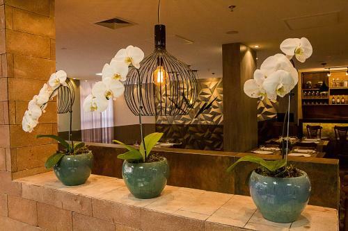 Bristol Vi�osa Hotel