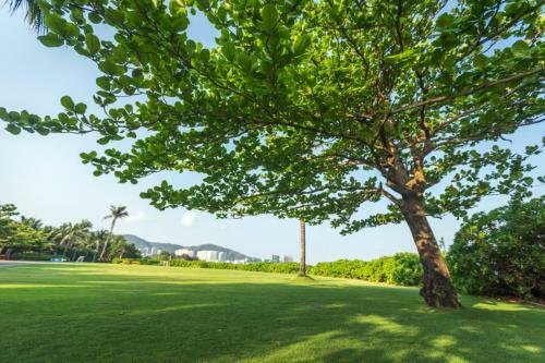 Villa Banyan Tree Sanya