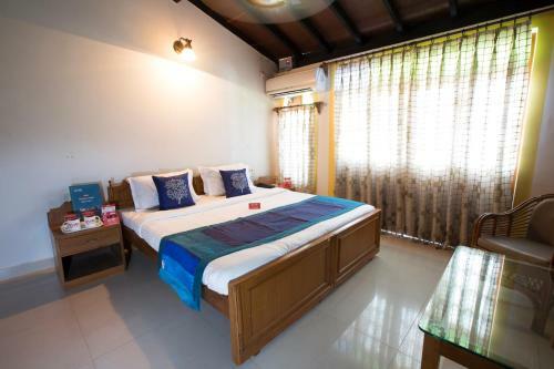 Hostal Bribon Guest House