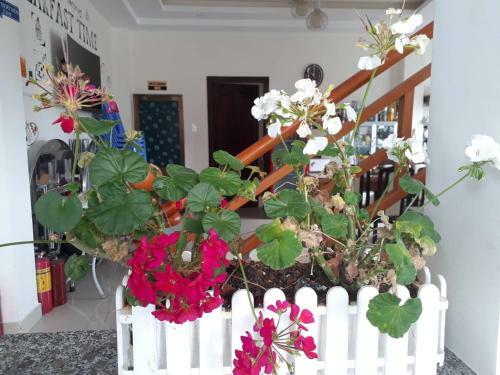 Bed & Breakfast Cam Ly Homestay