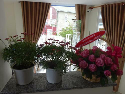 Bed & Breakfast Cam Ly Homestay