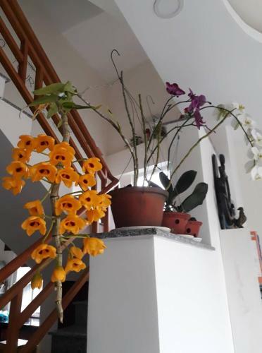 Bed & Breakfast Cam Ly Homestay