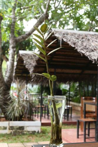 Hostal Swasthi Holiday Resort.