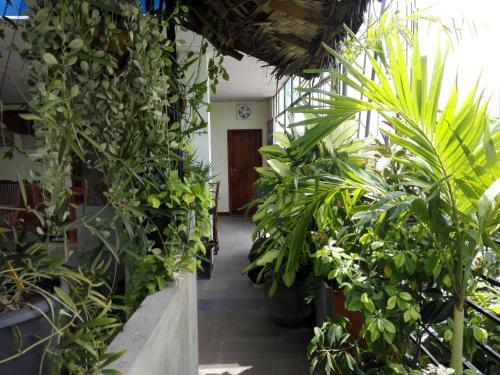 Bed & Breakfast Sacred City Tourist Resort