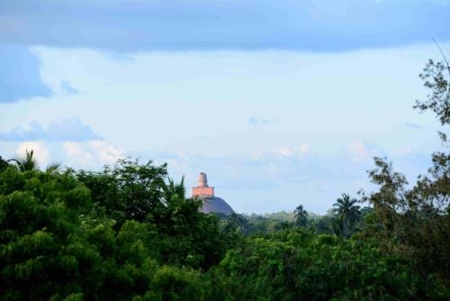 Bed & Breakfast Sacred City Tourist Resort